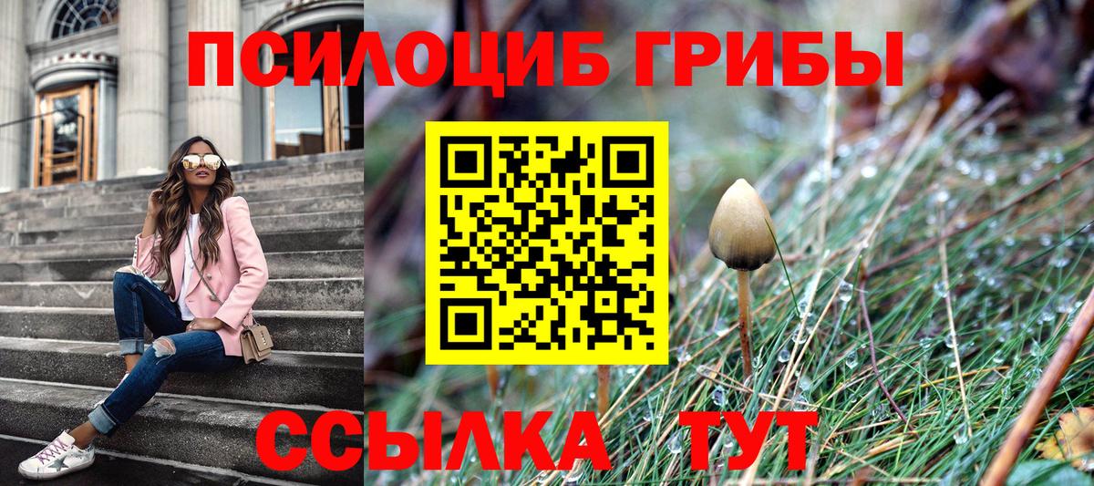 Галлюциногенные грибы ЛСД  цена   Вход с VPN  Ессентуки  Псилоцибиновые грибы Psilocybine cubensis 