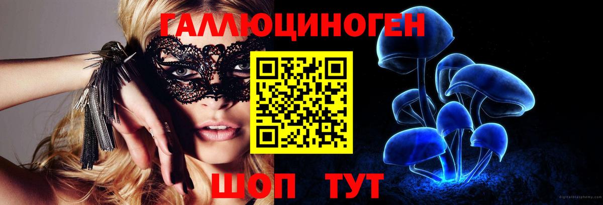 Псилоцибиновые грибы прущие грибы Ессентуки